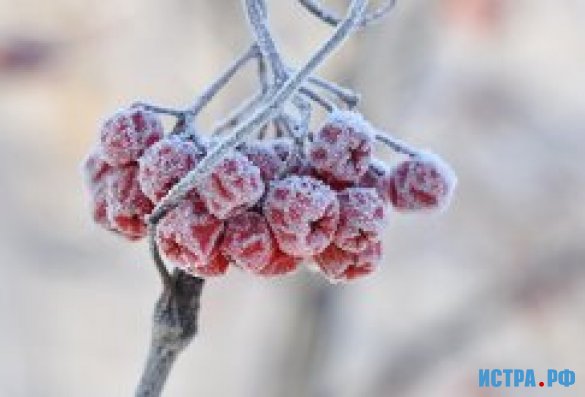 МЧС предупреждает: мороз усилится до -34